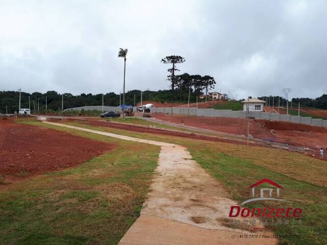 Terreno à Venda para Venda em Cotia - 5