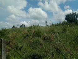 Área para Venda em Vargem Grande Paulista - 2