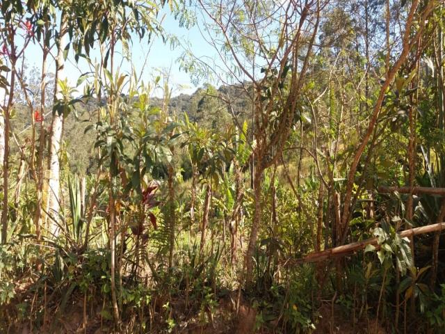 #3048 - Terreno à Venda para Venda em São Roque - SP