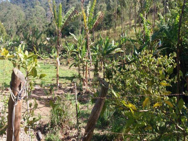 Terreno à Venda para Venda em São Roque - 4