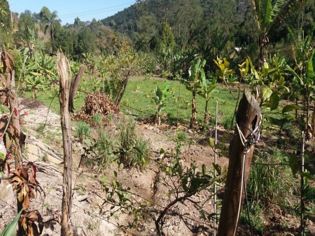 Terreno à Venda para Venda em São Roque - 2