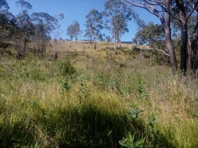 Venda em Horizonte Verde (Gabata) - São Roque