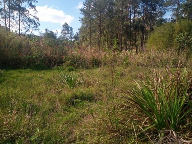 Terreno à Venda para Venda em Vargem Grande Paulista - 5