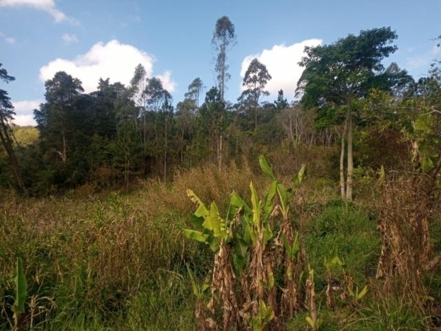 Terreno à Venda para Venda em Vargem Grande Paulista - 3