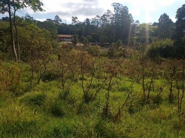 Terreno à Venda para Venda em Vargem Grande Paulista - 1