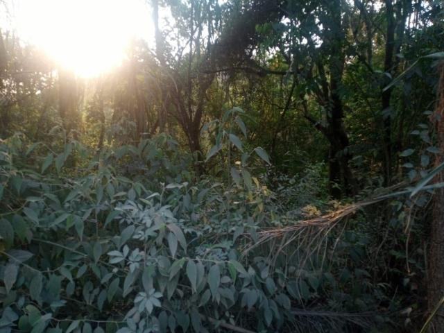 Terreno à Venda para Venda em Vargem Grande Paulista - 2