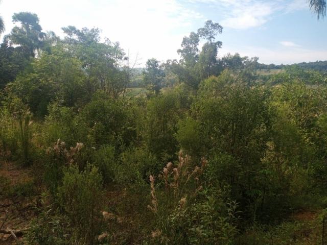 #3191 - Área para Venda em Vargem Grande Paulista - SP