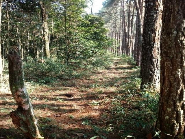 Área para Venda em Juquitiba - 4