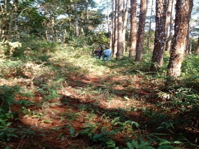 Área para Venda em Juquitiba - 5