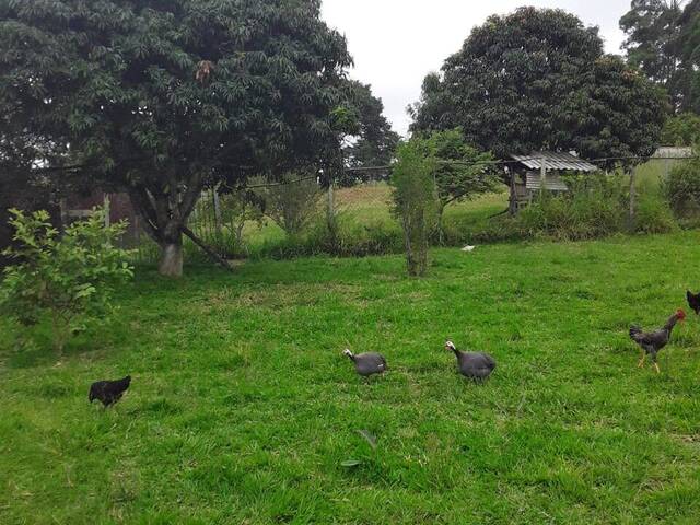 Terreno em condomínio para Venda em São Roque - 2