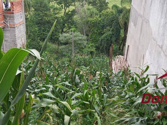 Área para Venda em Cotia - 4