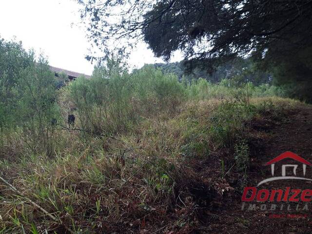 #3693 - Terreno à Venda para Venda em Vargem Grande Paulista - SP