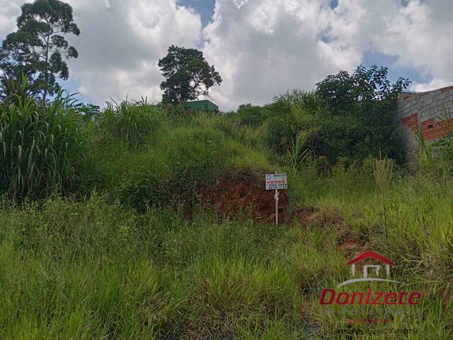 #3817 - Terreno à Venda para Venda em São Roque - SP - 1