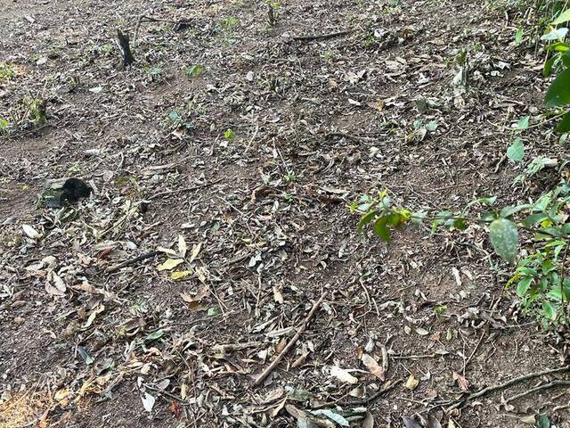 #3825 - Terreno à Venda para Venda em Vargem Grande Paulista - SP