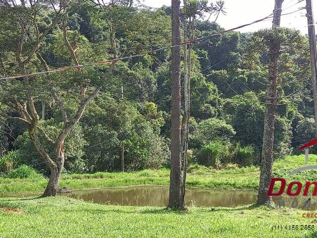 Sítio para Venda em São Roque - 4