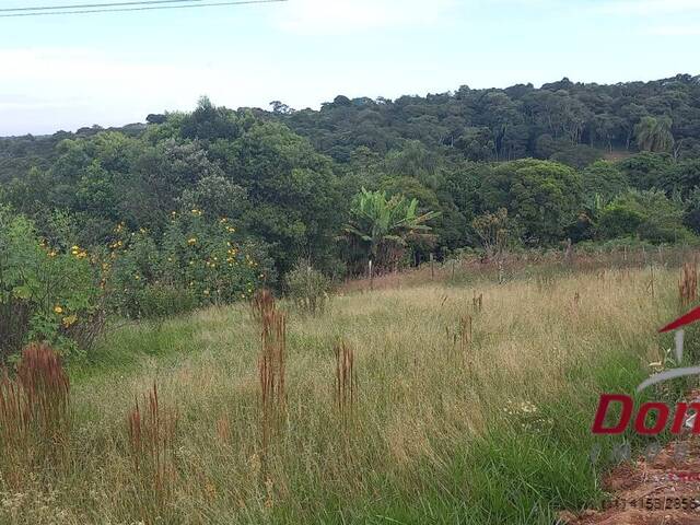 Venda em Jardim Camargo (Canguera) - São Roque