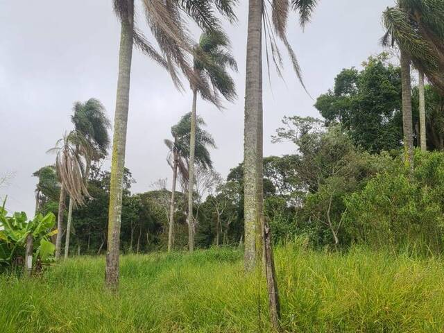 #4202 - Área para Venda em Ibiúna - SP - 3