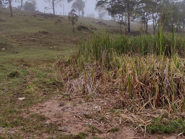#4389 - Terreno à Venda para Venda em São Roque - SP - 2