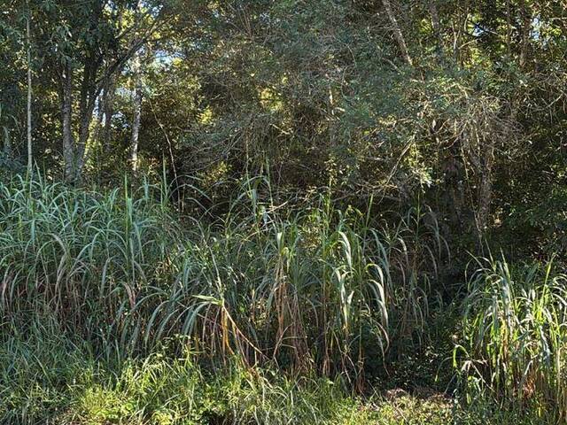 Terreno à Venda para Venda em São Roque - 3