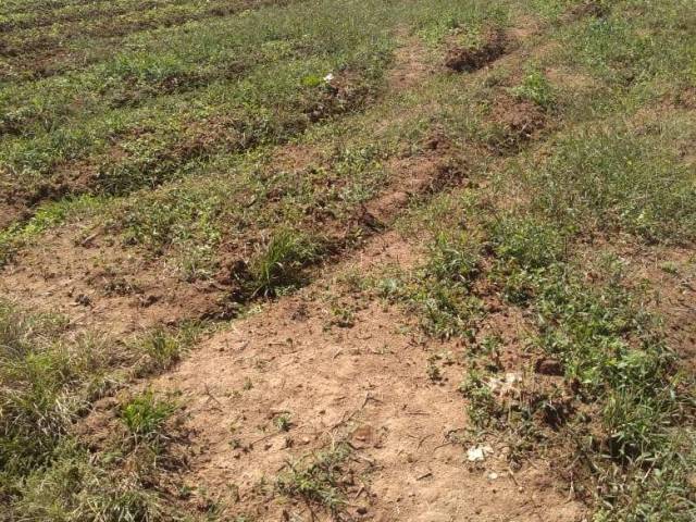 Sítio para Venda em Vargem Grande Paulista - 4