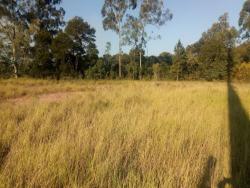 Terreno à Venda para Venda em Vargem Grande Paulista - 1