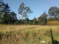 Terreno à Venda para Venda em Vargem Grande Paulista - 2