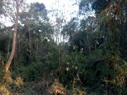 Terreno à Venda para Venda em São Roque - 3