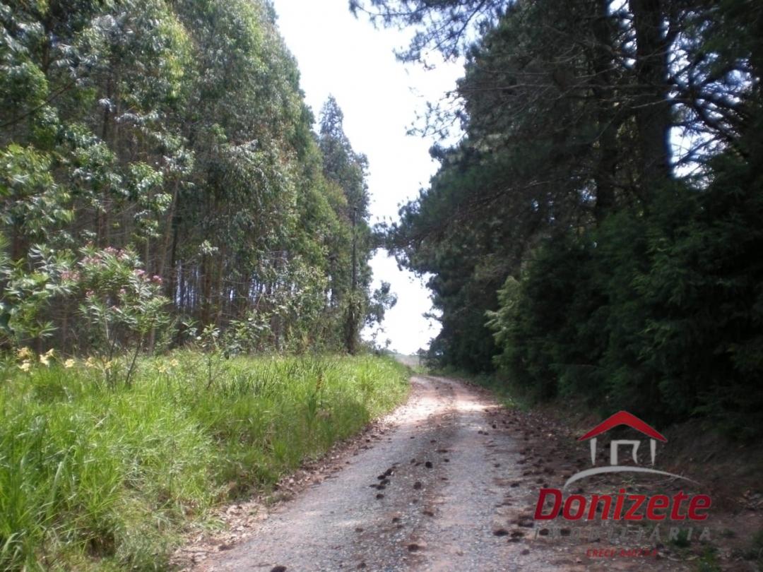 Fazenda para venda - Sarapui dos Luz / Piedade