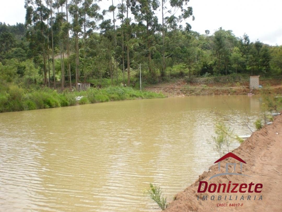 Fazenda para venda - Sarapui dos Luz / Piedade