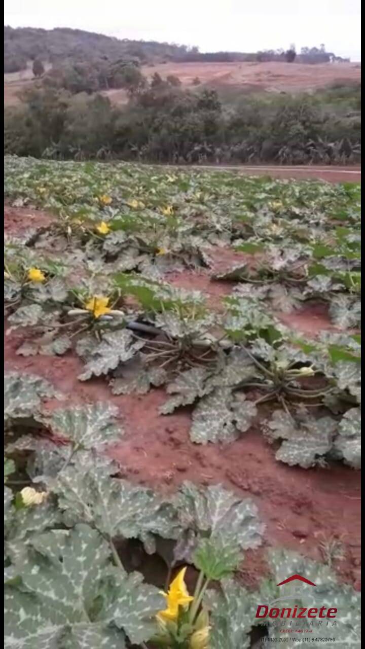 Fazenda para venda - Sarapui dos Luz / Piedade