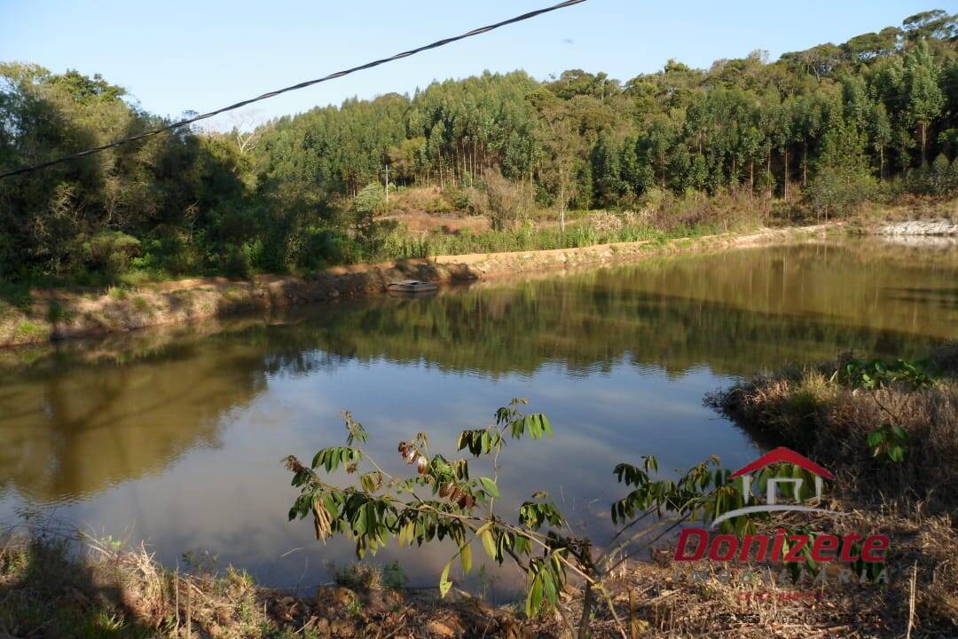 Fazenda para venda - Sarapui dos Luz / Piedade