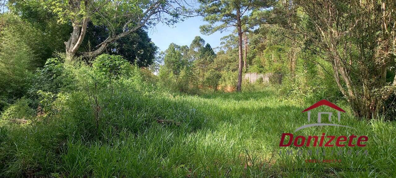 Chácara a venda - Santa Mônica / Vargem Grande Paulista
