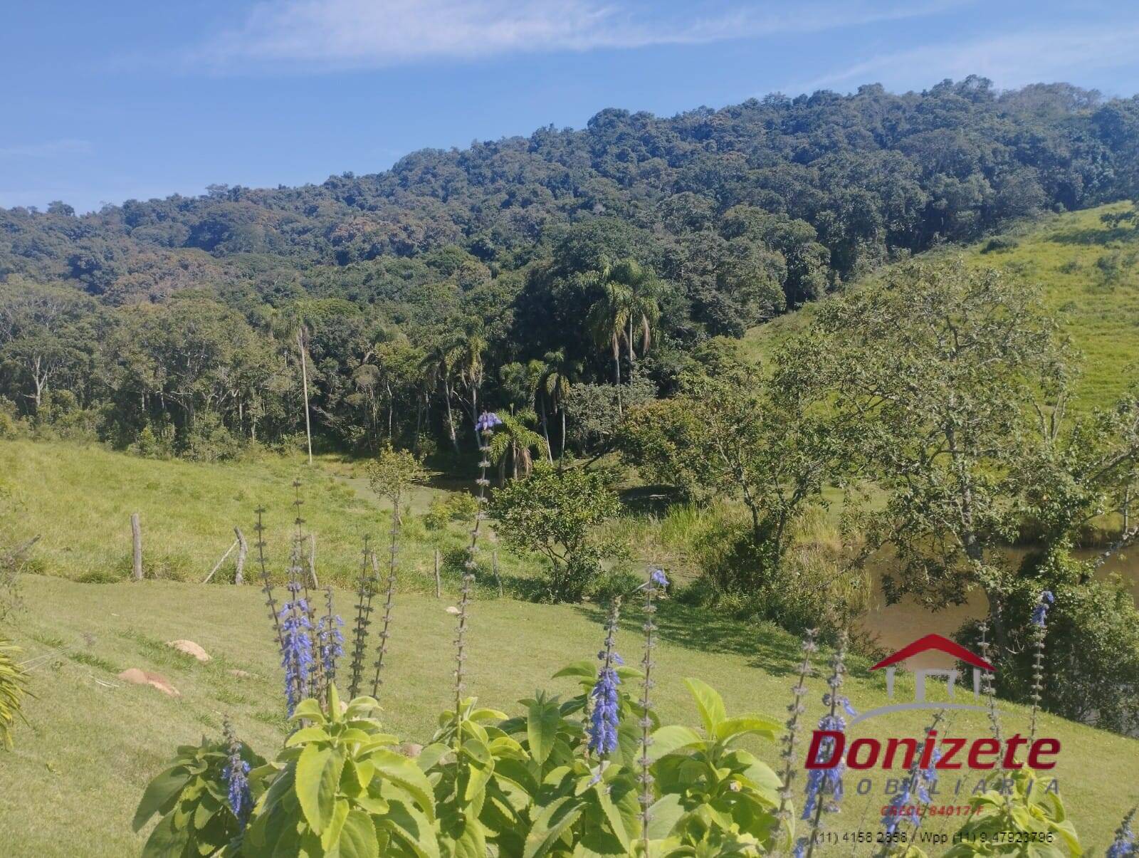 Sitio à venda - Ibiúna