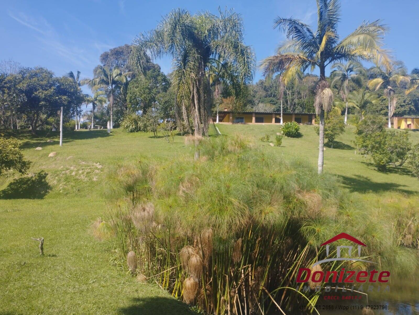Sitio à venda - Ibiúna