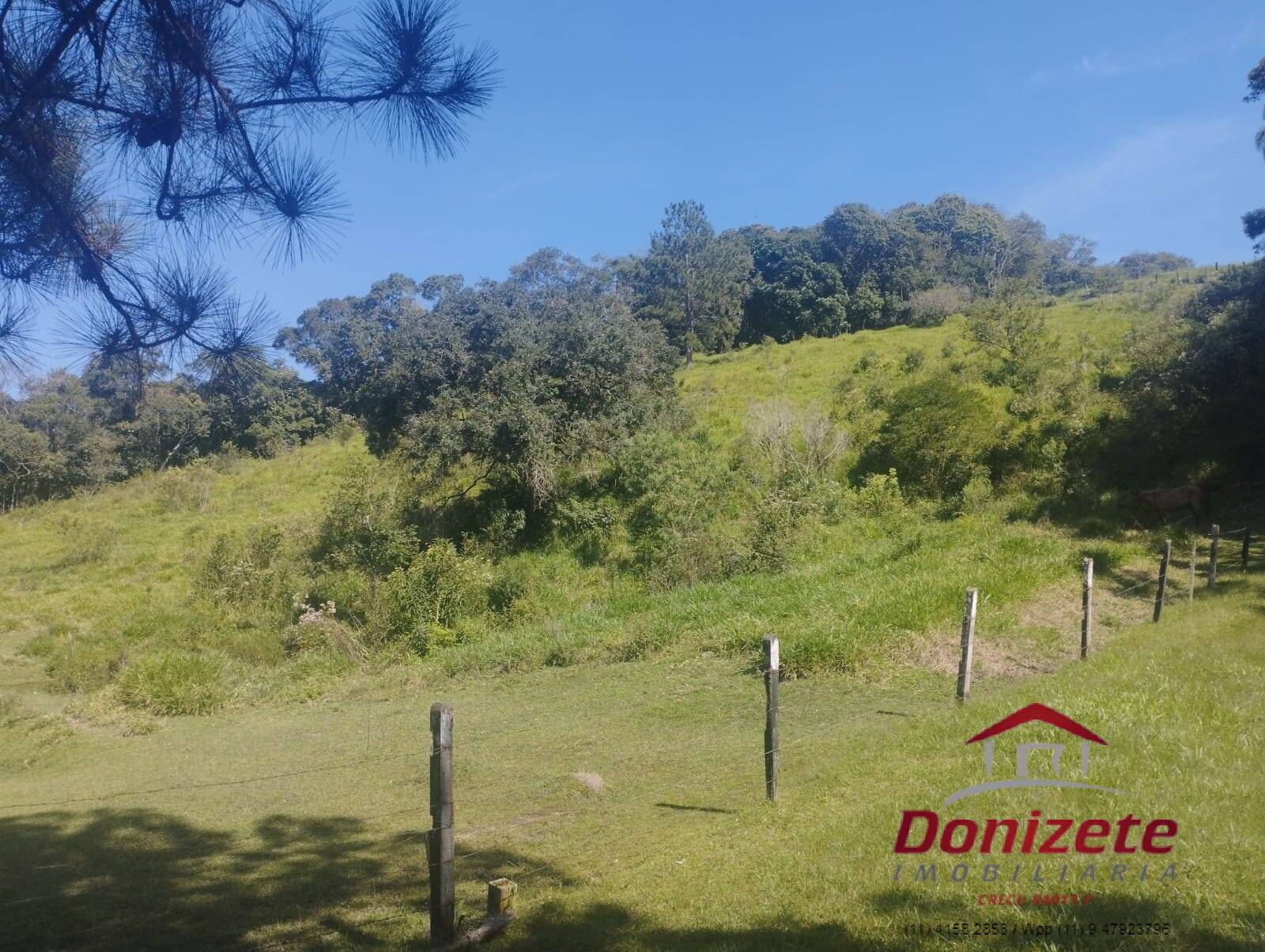 Sitio à venda - Ibiúna