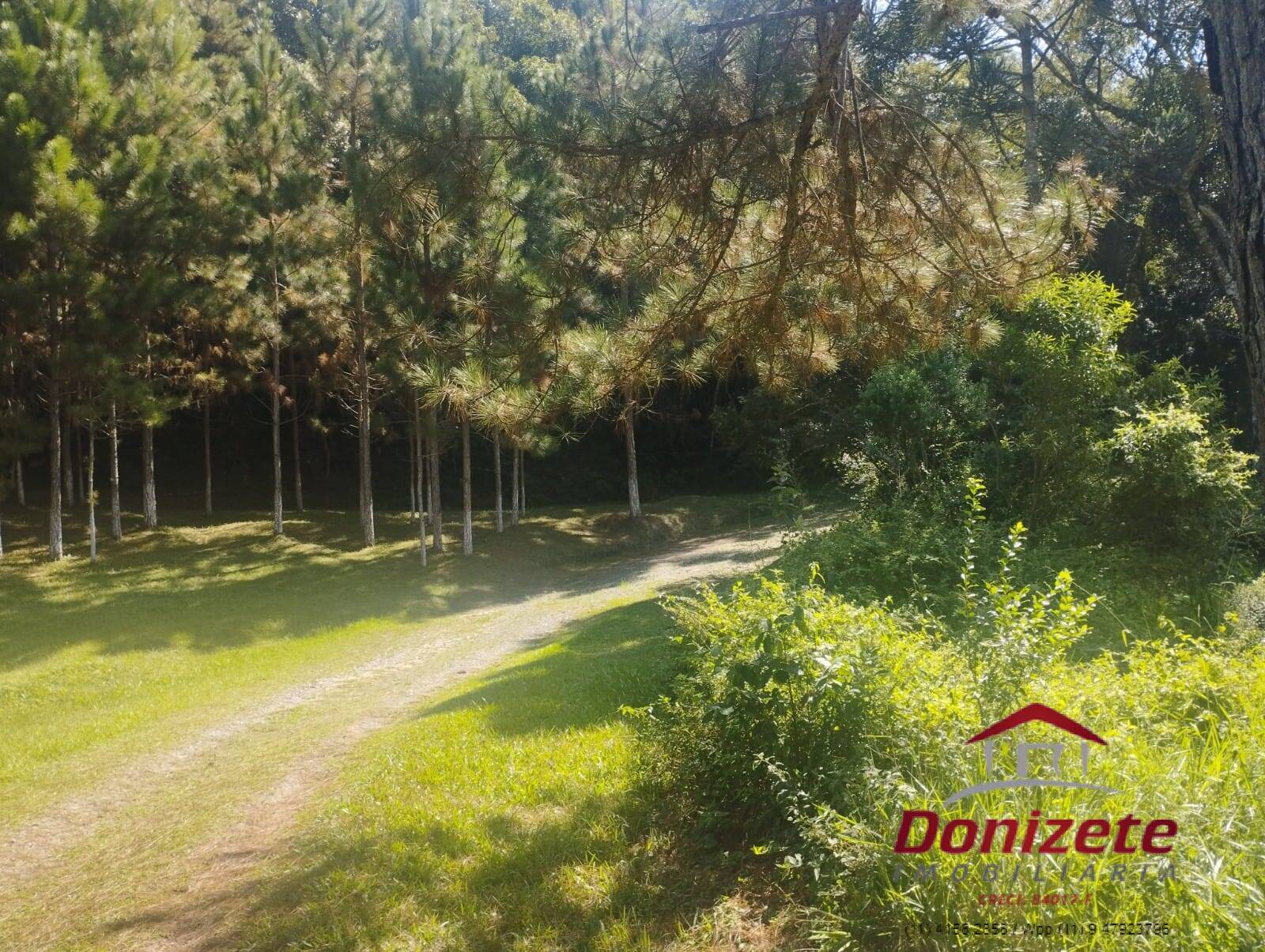 Sitio à venda - Ibiúna