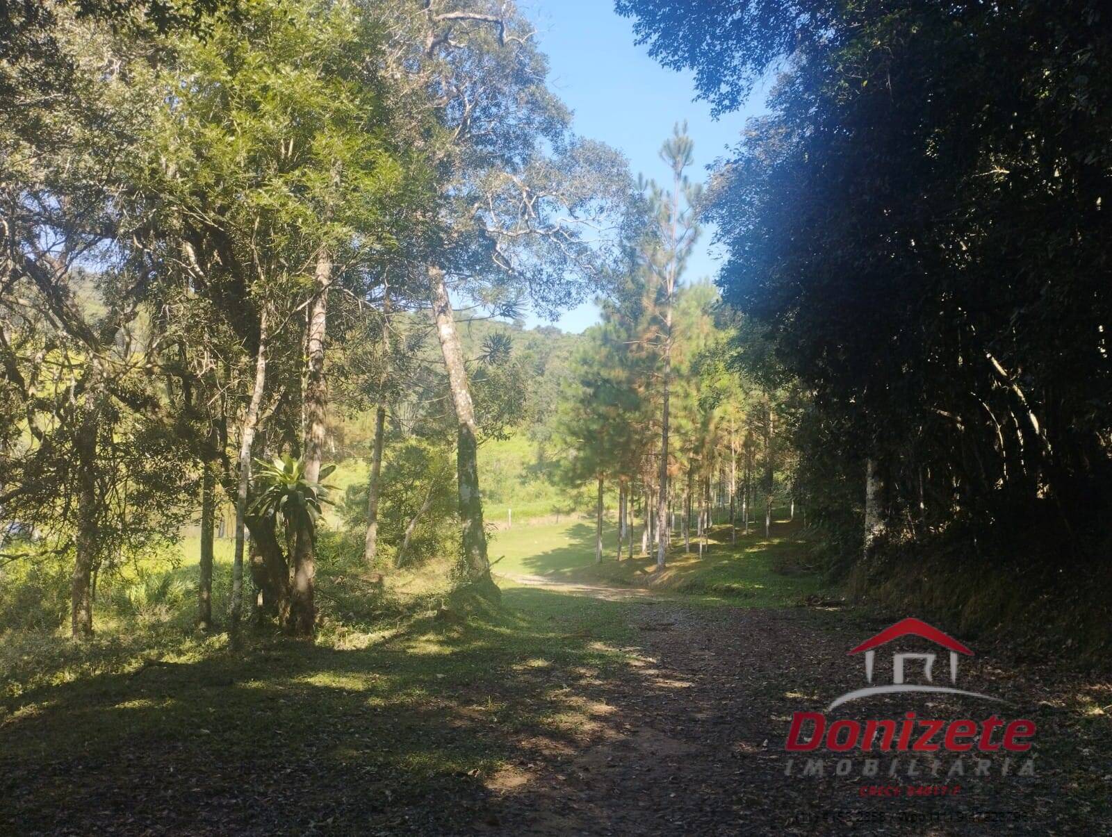 Sitio à venda - Ibiúna